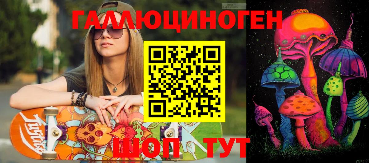 Псилоцибиновые грибы мицелий Ковров