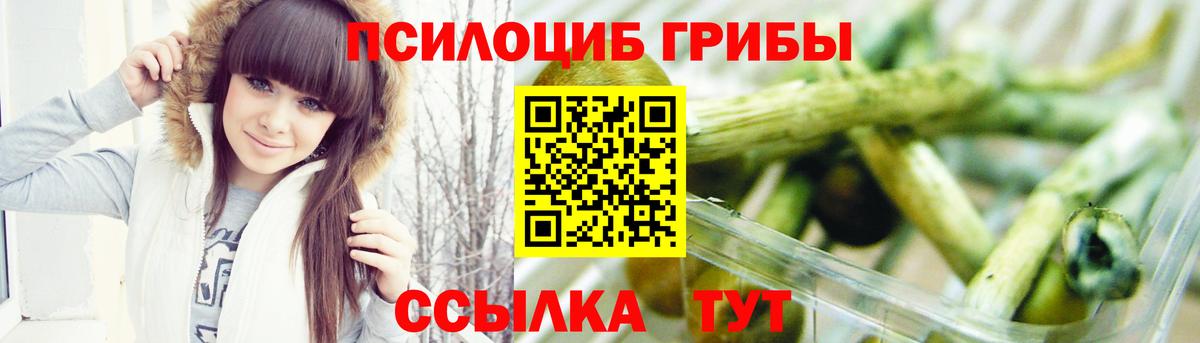 Псилоцибиновые грибы Psilocybe  Вход с VPN  Псилоцибиновые грибы MAGIC MUSHROOMS  Ковров 